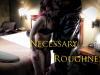 Necessary-roughness